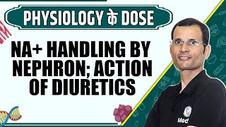 Na Handling by Nephron Action of Diuretics  1st Year MBBS  Dr Vivek  Physiology के Dose [upl. by Lyns]