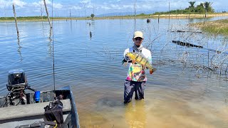 Caiman Hunting  Peacock Bass Fishing At Its Best [upl. by Arvonio350]