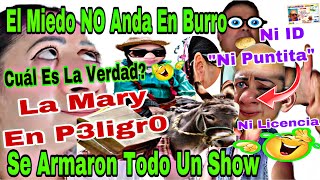 La Mary En P3l1gr0🚨😨Cuál Es La Verdad🤫❓El Miedo No Anda En Burro 🫏 😱Se Armaron Todo Un Show 🤦🏻‍♀️ [upl. by Orlanta823]