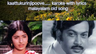 Kaattukurinjipoovu karaoke with lyrics old malayalam song karoke [upl. by Carlynn]