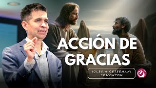 Acción de gracias pt2 [upl. by Colinson]