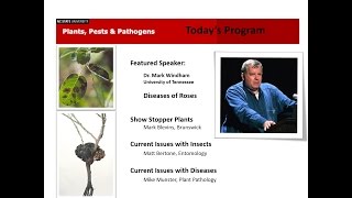 2013 6 25 Plants Pests and PathogensDiseases of Roses [upl. by Adelbert]