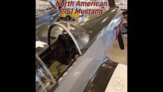 Take a Look at the P51 Mustang in Dday Invasion Stripes aviation military history [upl. by Khoury]