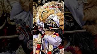 Mere banke Bihari Lal mane  ytshorts  shorts  viral shorts  youtube shorts  lord radha krishna [upl. by Plafker]