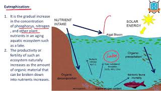 What is Eutrophication   Eutrophication అంటే ఏమిటి  La Excellence [upl. by Tiraj]