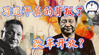 方脸说：中国经济出问题真的是因为习近平背叛了改革开放？为什么我说习近平其实是邓小平改革开放的修补匠？改革开放的本质丨邓小平120周年 [upl. by Edialeda414]