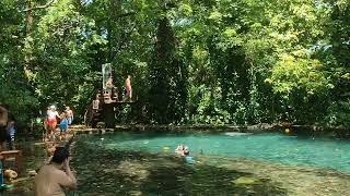 ojo de agua ometepe island nicaragua [upl. by Noryak]