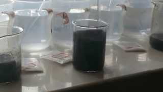 Coagulation flocculation jar test [upl. by Anirda669]