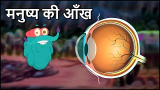 ह्यूमन ऑय  मनुष्य की आँख  Human Eye in Hindi  DrBinocs Show  Educational Videos For Kids [upl. by Ovatsug]