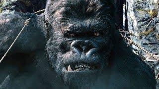 Capturing Kong Scene  King Kong 2005 Movie Clip HD [upl. by Barboza850]