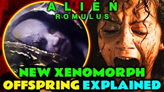 Offspring New Xenomorph Anatomy Explored  Is This How Engineers Were Formed amp More Alien Romulus [upl. by Owades]