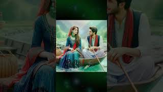 Wafa na raas aayi song whatsapp status shortvideo [upl. by Ellebasi]