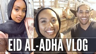 EID ALADHA VLOG 2017  Trying Somali Food amp Horseback Riding  Aysha Abdul [upl. by Trilley]