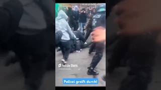 Polizei hat genug 💪🏻🇩🇪 afd memes deutsch deutschland shorts politik satire ytshorts funny [upl. by Ahk756]