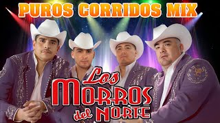 🔥Popurrí de Los Morros del Norte 2024💦 Corridos para Pistear 💦Los Mejores Éxitos del Año🔥 [upl. by Lynnet155]