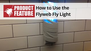 How to Use the FlyWeb Fly Light  Indoor Electric Bug Light  DoMyOwncom [upl. by Kristin819]