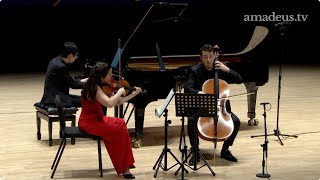 Amatis Trio  Mendelssohn  Piano Trio No1 in D Minor Op 49 [upl. by Laucsap825]