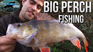 Big Perch Fishing  TAFishing [upl. by Harolda]