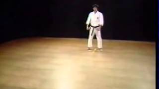 Jiin  Shotokan SKIF  Hirokazu Kanazawa [upl. by Brecher250]