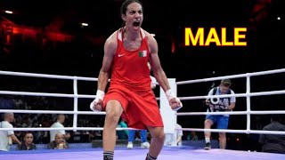 Imane Khelif is ‘male’ disqualified from world championships Imane Khelif controversy [upl. by Holt]