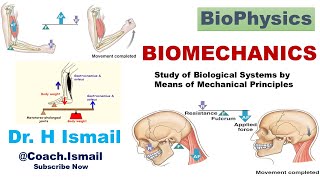 Applications of Biomechanics in the Human Body  Movement Muscles and More [upl. by Aikemehs]