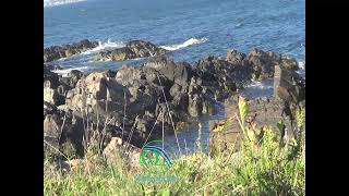 Ogunquit Maine Seashore [upl. by Atsahs]