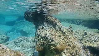 COMPILATION Amoopi Snorkeling Karpathos Diving Holiday [upl. by Anatlus]