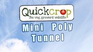 Mini Polytunnels For Vegetable Gardening [upl. by Peregrine]