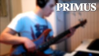 Primus  Wynonas Big Brown Beaver Bass Cover [upl. by Oilerua253]