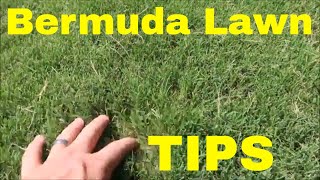 Bermuda Grass Lawn Care Tips and Maintenance Calendar [upl. by Hui794]