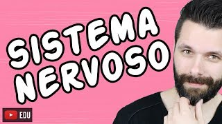 SISTEMA NERVOSO  FISIOLOGIA  Aula  Biologia com Samuel Cunha [upl. by Ertnod]