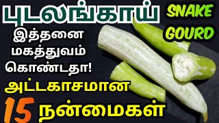 புடலங்காய் பயன்கள்pudalangai benefits in tamilSnake gourd benefits in tamilபுடலங்காய் நன்மைகள் [upl. by Fortunato432]