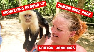 We Got To Play With Monkeys at Gumbalimba Park in Roatan Honduras [upl. by Einaoj]