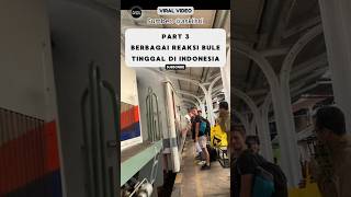 Reaksi Bule Tinggal Di Indonesia Pohon Besar Bikin Kesurupan⁉️ reaksibule shorts viralvideo [upl. by Yamauchi314]