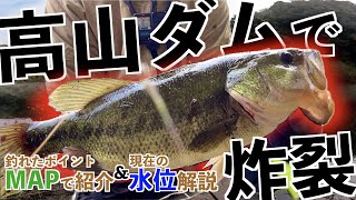 【高山ダム】秋のバス釣り！ボイルからの強烈バイト！〜釣れたポイントをMAPで紹介＆現在の水位解説〜 [upl. by Enicar]