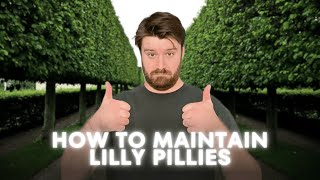 Avoid Bare Patches Secrets to Maintaining Lilly Pillies [upl. by Nosredna]