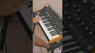 Take My Breath  The weeknd neonshades takemybreath korg minilogue moogsub37 moog akai mx [upl. by Aizirtap]