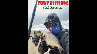 Surf Fishing California  SURF PERCH FISHING Feb 26 2024 [upl. by Alvera]