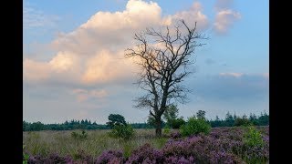 Tijdkijkerpad Stakenberg Vierhouten [upl. by Deppy]