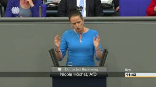 AfD Nicole HöchstUnsere Bildungsnation fährt laut krachend an die Wand [upl. by Harifaz]