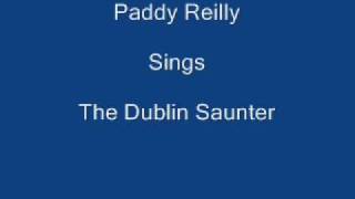 Dublin Saunter  Paddy Reilly  Lyrics Underneath [upl. by Vowel822]