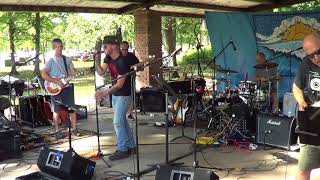 Semi Charmed Life  Third Eye Blind  Neighborhood Picnic Band 2017 [upl. by Ver474]