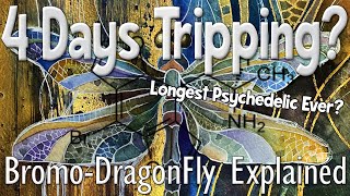 4 Day Psychedelic Trip  BromoDragonFLY Explained [upl. by Einolem]