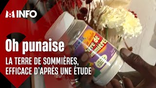 Le produit ménager « la Terre de Sommières » efficace contre les punaises de lit [upl. by Ative747]