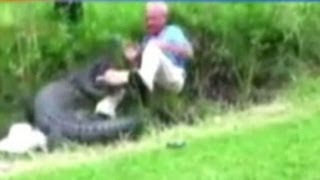 Man Describes Frightening Alligator Attack That Was Caught On Tape [upl. by Aniala650]