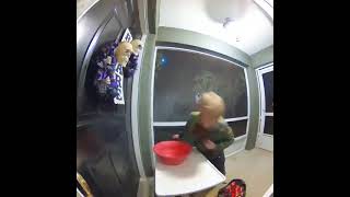 Kid flips off ring camera [upl. by Sublett]