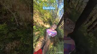 Chakrata full video coming soon chakrata trek trekking nature travel mountains camping tent [upl. by Atinus190]