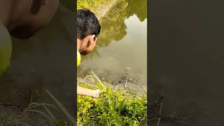 Traditional fishing in rural Bengal Fishing BD Part277 fish amazing fishing [upl. by Marshal]