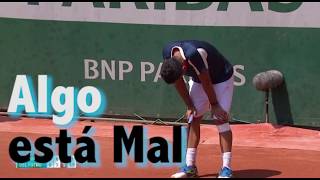 Nicolas Almagro Lesion y Llanto Fuerte en la Cancha contra Delpotro Rolland Garros 2017 [upl. by Nylirrehs]