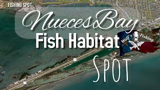 Fishing Spot Breakdown Nueces Bay  Fish Habitat Wolfs Fishing March 2022 [upl. by Adnaloy619]